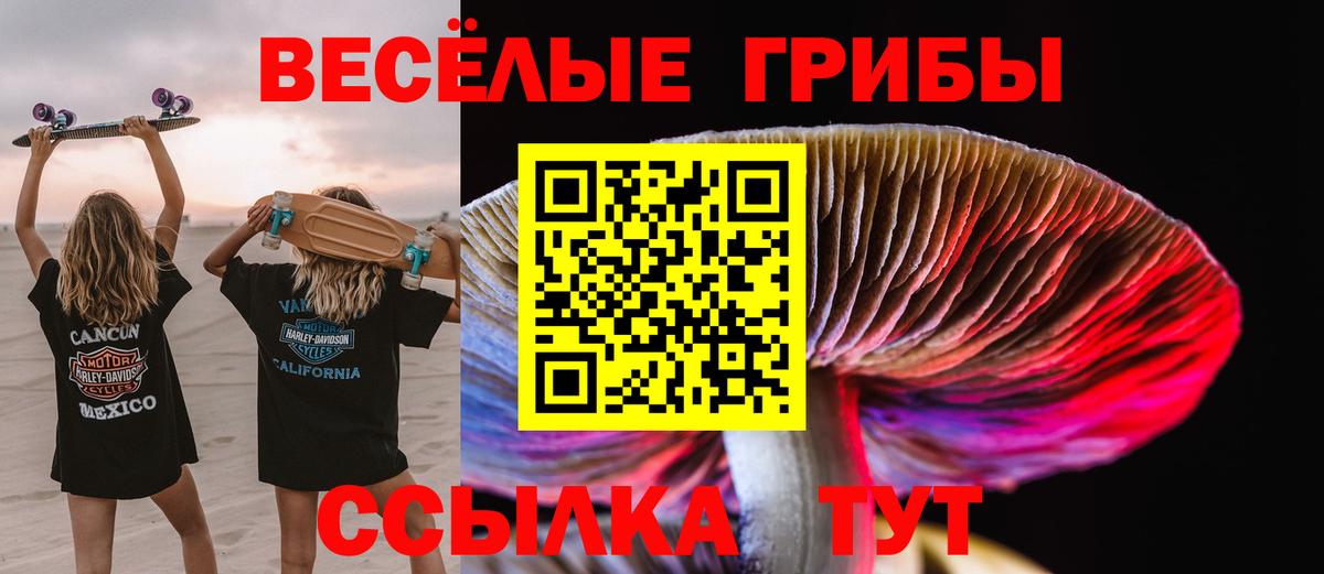 Фрязино  где купить наркотик  Вход с VPN  Псилоцибиновые грибы Cubensis 