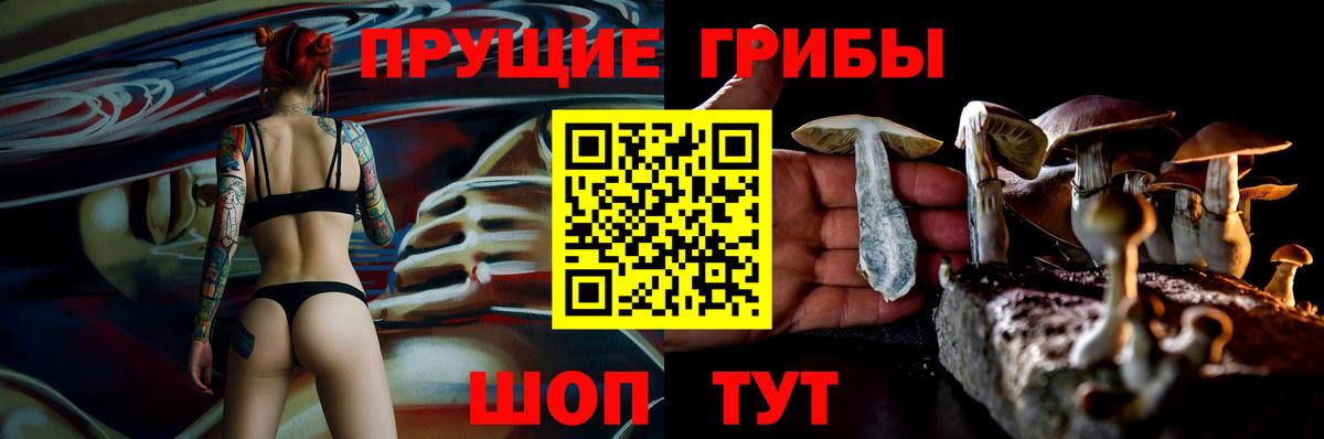 Галлюциногенные грибы Cubensis Фрязино